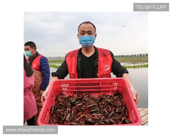 龙虾游戏交易平台官网网址介绍及最新交易规则详解